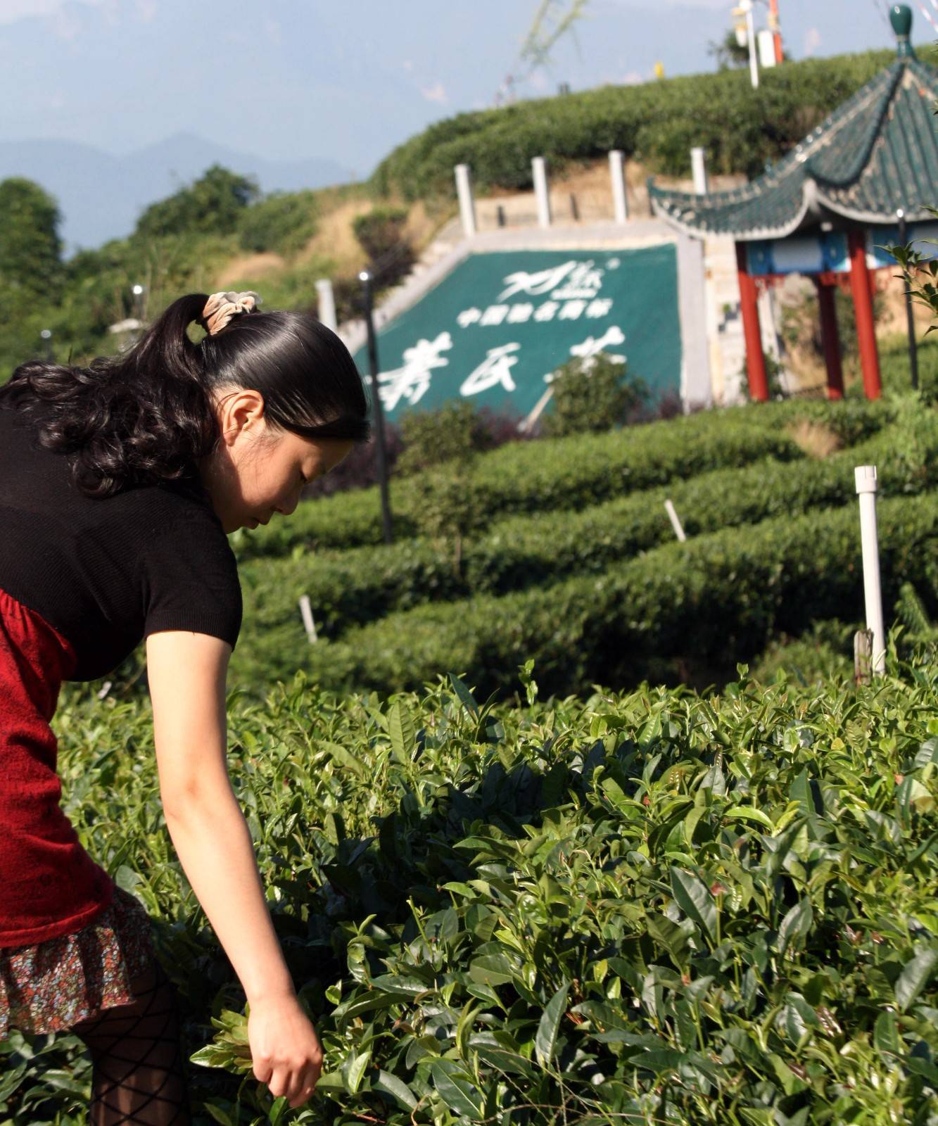 魅力茶乡！湖北宜昌夷陵区邓村获“世界茶旅小镇”