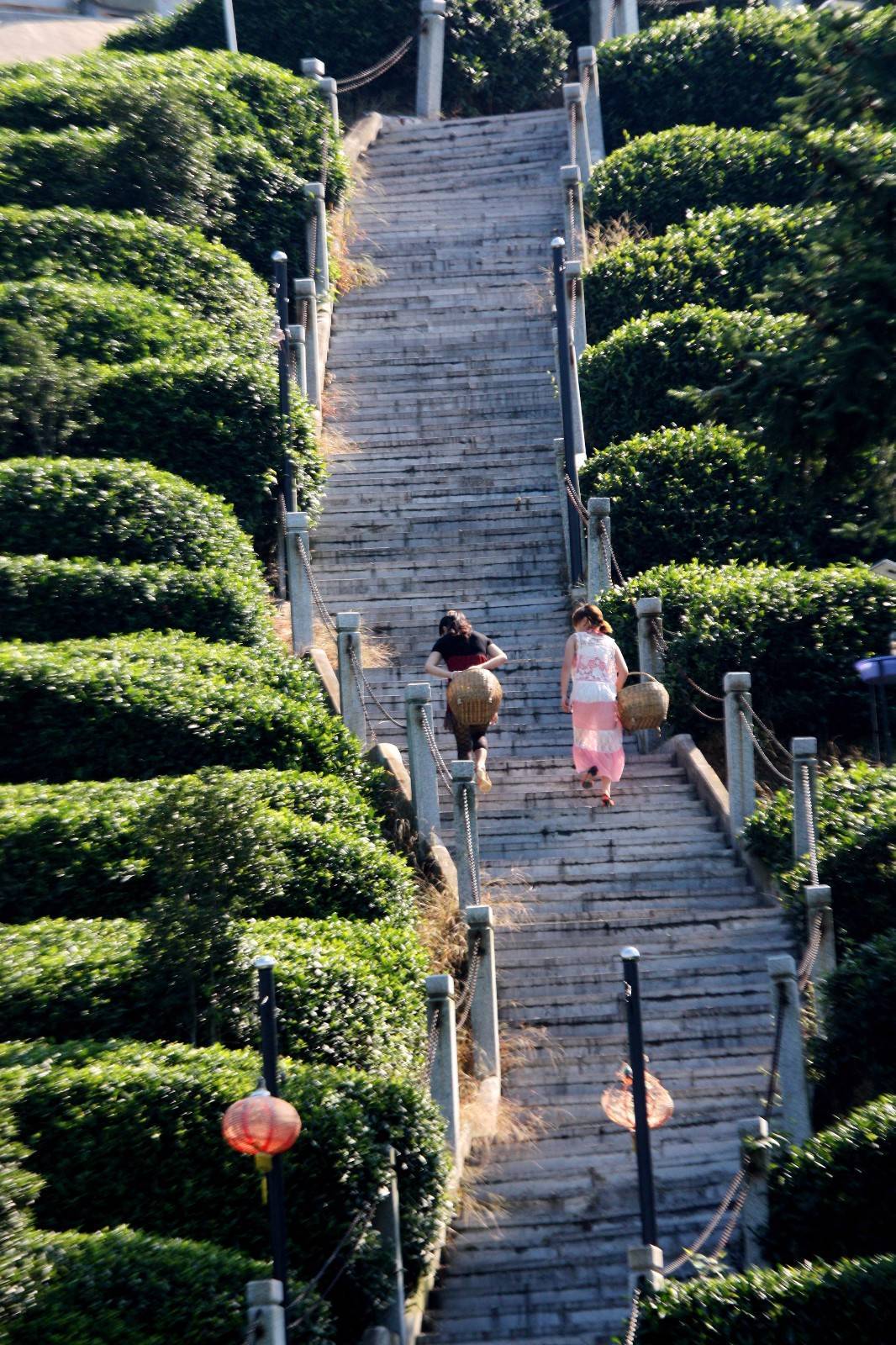 魅力茶乡！湖北宜昌夷陵区邓村获“世界茶旅小镇”