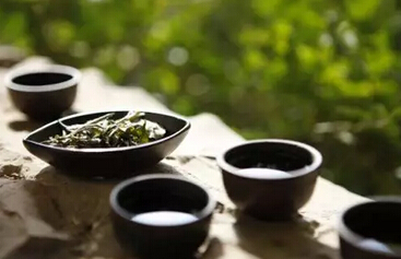 会泡茶懂茶艺的人简直完美