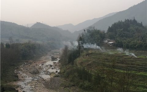 洪雅依托雅茶产业 打造雅茶文化乡村旅游主题