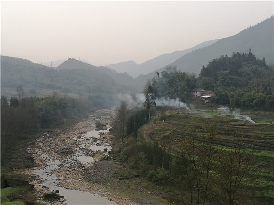 洪雅依托雅茶产业 打造雅茶文化乡村旅游主题