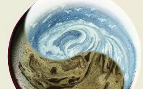 探寻茶汤中的意境之美