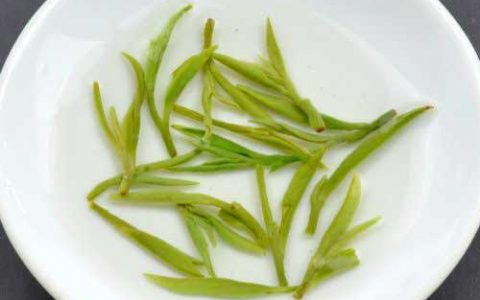 如何判别碧螺春茶方法？
