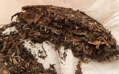 如何选购好的福鼎白茶？