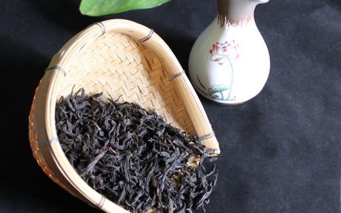 茶类的品种的选择及介绍