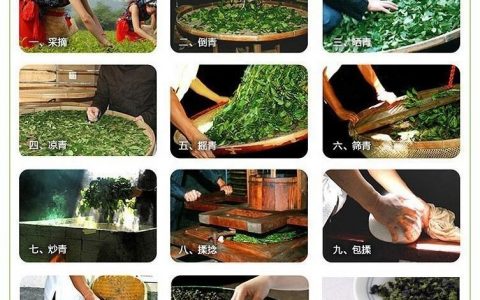 铁观音茶叶的制作过程？