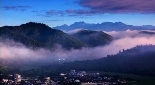 最美避暑茶园攻略：茶友们，我先去这些茶园避暑了