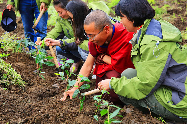 一言不合就旅行：“老司机”教你茶人专属的藏地玩法！