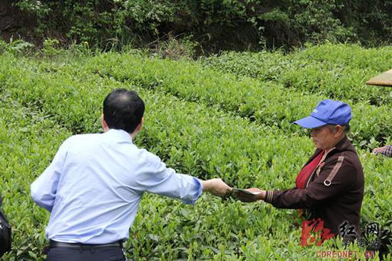 三地税务机关开展茶马古道税收宣传活动