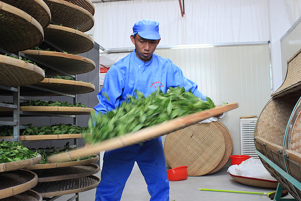 茶转载丨第三届安溪铁观音大师赛成功举办