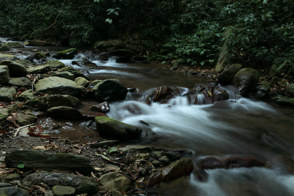 同庆河