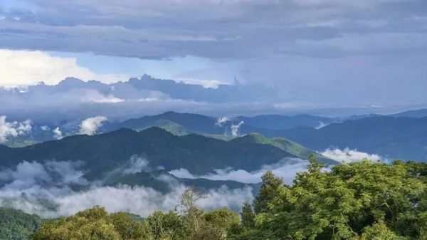 一口喝出普洱茶山头与年份，这样的大师你信吗？