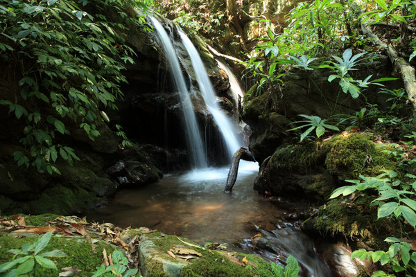 同庆河