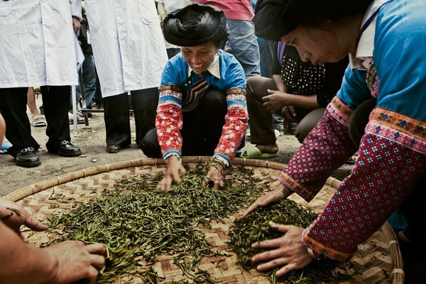 被茶叶浸染的双手是什么样子，我打赌你一定没见过