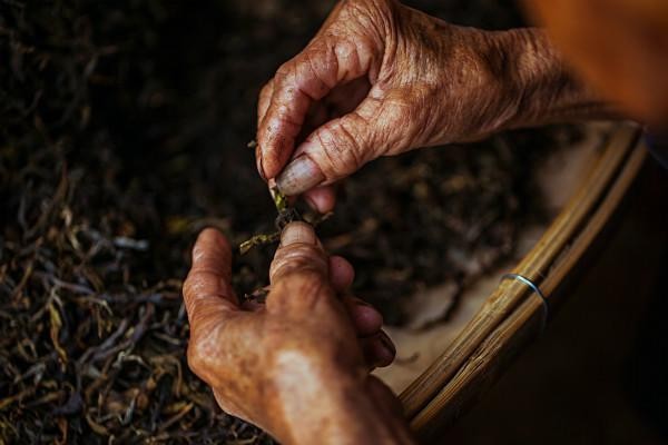 被茶叶浸染的双手是什么样子，我打赌你一定没见过