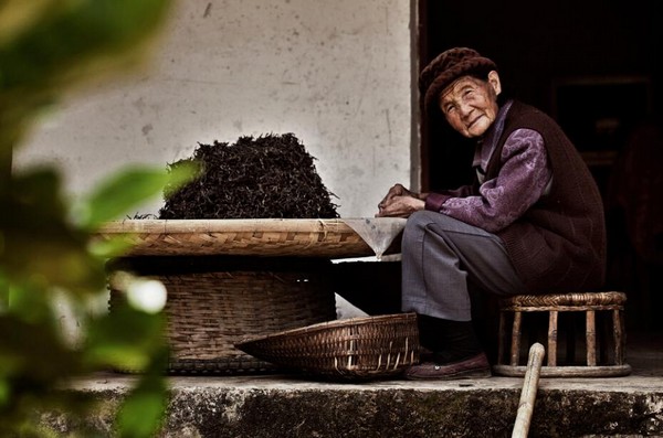 被茶叶浸染的双手是什么样子，我打赌你一定没见过