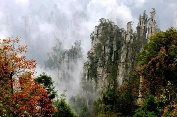 带上茶，踏遍这7个美丽的地方 ｜最佳茶旅目的地推荐榜