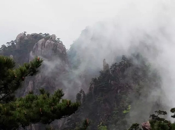 带上茶，踏遍这7个美丽的地方 ｜最佳茶旅目的地推荐榜