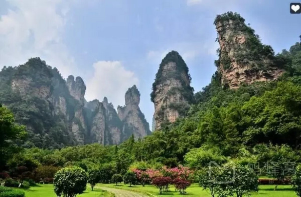 带上茶，踏遍这7个美丽的地方 ｜最佳茶旅目的地推荐榜