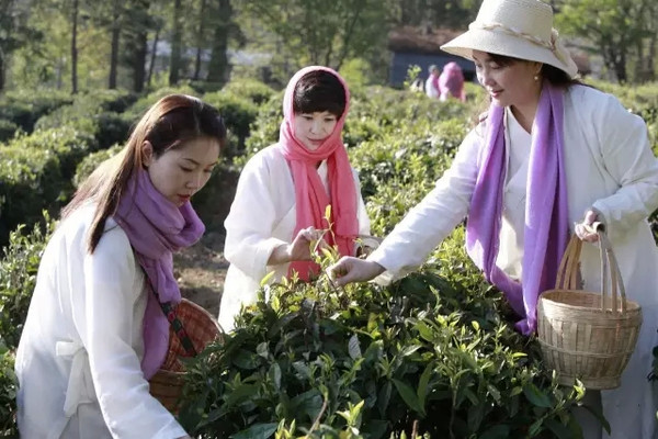 带上茶，踏遍这7个美丽的地方 ｜最佳茶旅目的地推荐榜