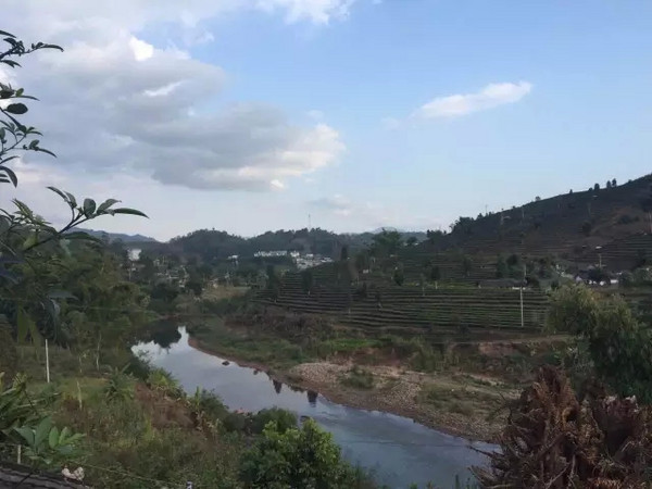 带上茶，踏遍这7个美丽的地方 ｜最佳茶旅目的地推荐榜