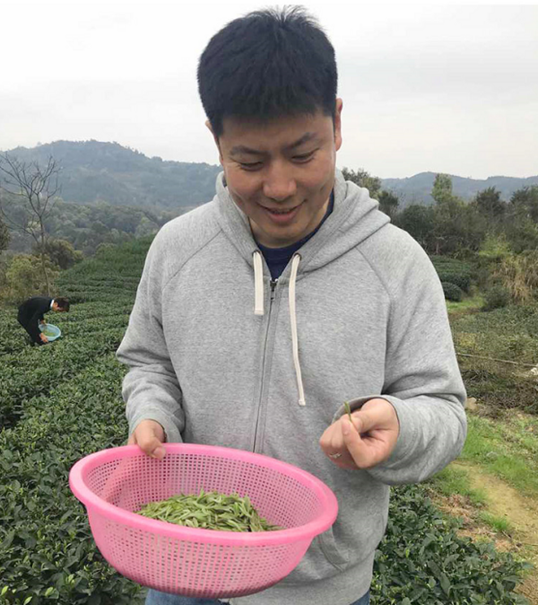 来自高山云雾的滋味，福鼎管阳白露白茶，好喝不贵