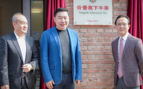全新普洱茶品牌“云普发”首发 积极推动普洱茶“国茶”文化
