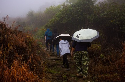 茶之旅丨从勐海到临沧——跟着中吉号茶山行