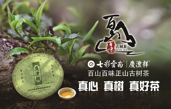 市场纷杂，这家深耕古树普洱多年的茶企，提出自我求真的古树茶标准！