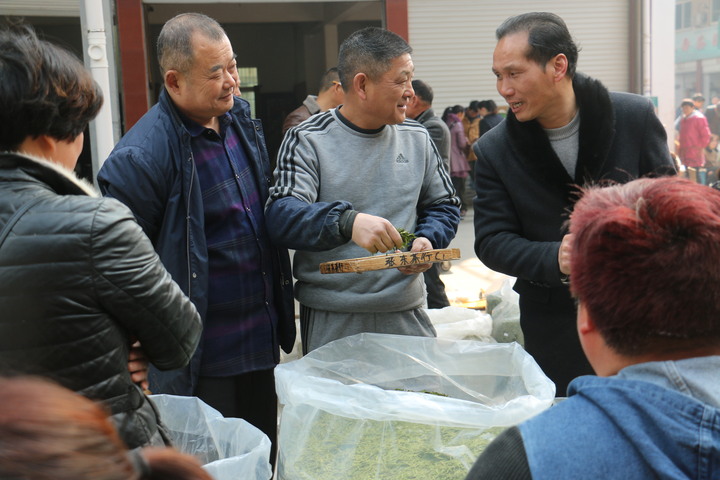 日交易30吨 松阳早春茶市交易忙