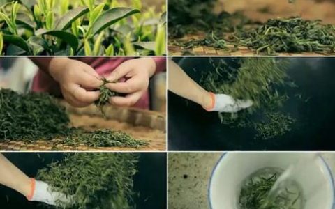 好茶配好壶，你想知道的都在这里！( 建议收藏）