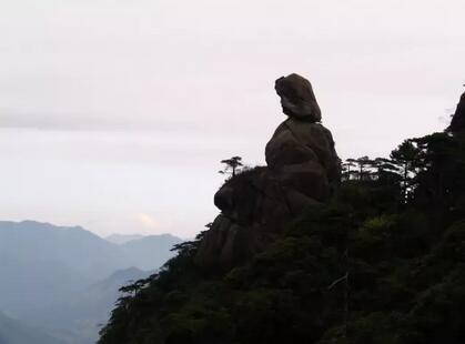 莫待茶凉，执念人生