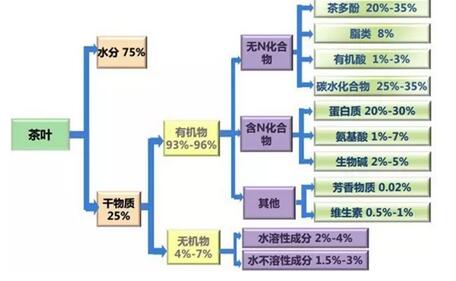 茶叶与身体的关系，终于搞懂了！