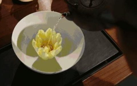 长寿排序最前习惯中，你占有几项？