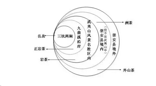 茶知识 | 带你了解武夷茶的地域之分