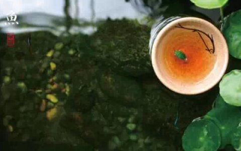 好人品的8个标准，你符合几个？