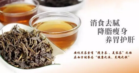 老黑茶一定比新黑茶好吗？