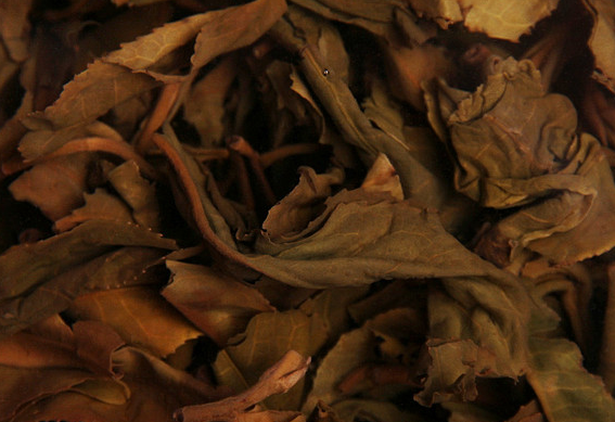 泡完的茶叶不要丢, 仔细看一下就能看出茶叶好坏, 隔壁的茶叶奸商都吓哭了!