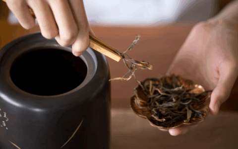 那些脏到令人发指的茶具！(用他们泡出来的不是茶，是毒药)