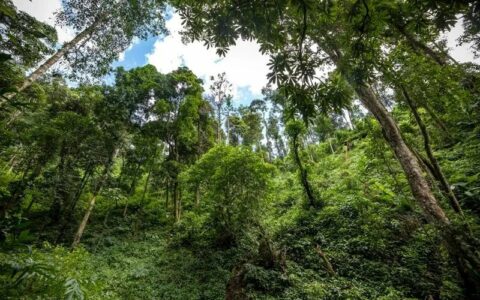 茶山行走攻略：解放鞋、速干衣、巧克力？上茶山到底该带哪些必备单品？
