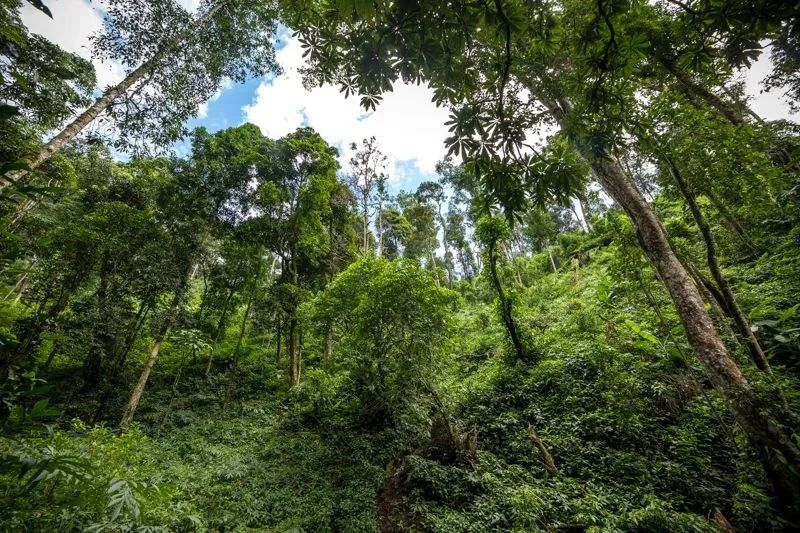 茶山行走攻略：解放鞋、速干衣、巧克力？上茶山到底该带哪些必备单品？