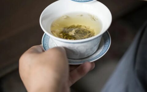 一口可知春来到！把茉莉花茶说个仔细