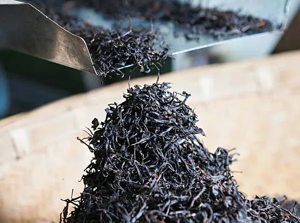 一位18岁的清朝武官辞官归隐，创造了一个改写中国茶叶史的红茶品类