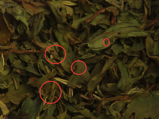泡完的茶叶不要丢, 仔细看一下就能看出茶叶好坏, 隔壁的茶叶奸商都吓哭了!