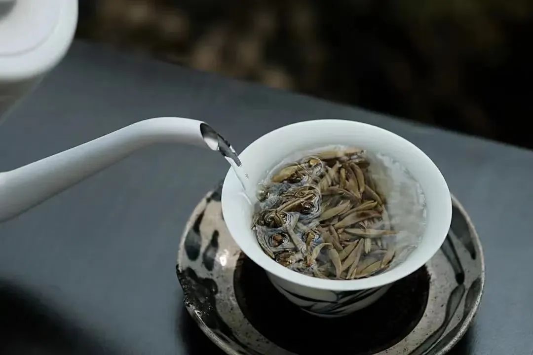 泡茶师的摆烂与坚持，往往在于一个客人开口的瞬间