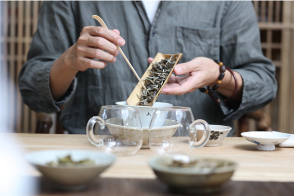 白茶好奇12问：没想到你对白茶的误解居然这么深！