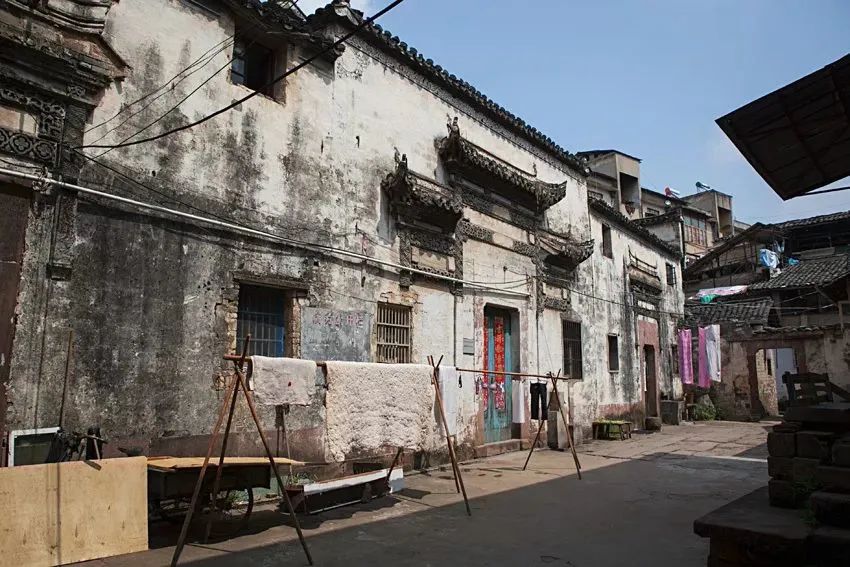 从茶号到合作社，再到中茶公司，这款茶叶的财富故事一直在不停书写