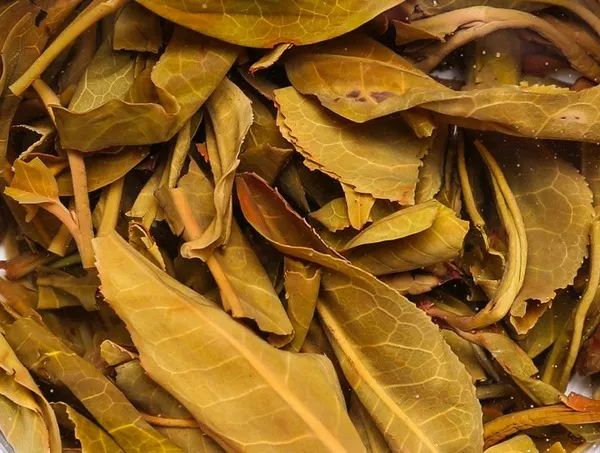 泡完的茶叶不要丢, 仔细看一下就能看出茶叶好坏, 隔壁的茶叶奸商都吓哭了!