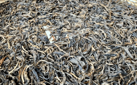 在红茶、白茶、乌龙茶大省福建的省会开间普洱茶店，挑战到底有多高？