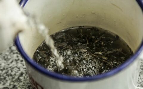 有哪些事是你真正喝茶以后才懂的？小白对茶的十大误解